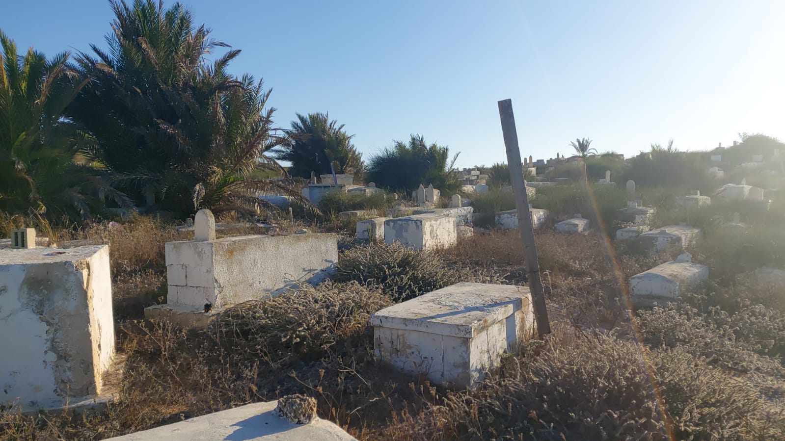 WhatsApp Image 2020-08-17 at 7.30.13 PM (1).jpeg.jpeg